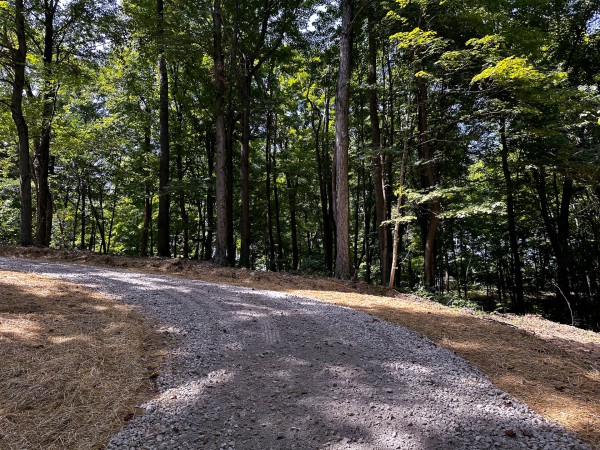 Tract 8 at The Woods at Titus property photo