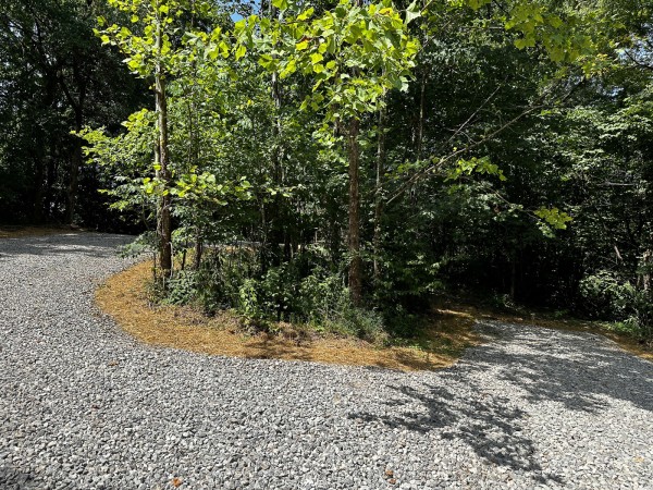 More of Tract 6 at The Woods at Titus