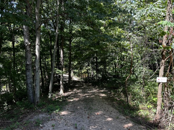 More of Tract 6 at The Woods at Titus