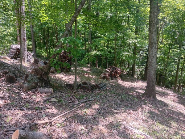 Eagle’s Landing Cabin at The Caves at Keystone property photo