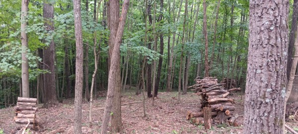 Eagle’s Landing Cabin at The Caves at Keystone property photo