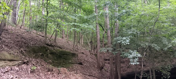 Eagle’s Landing Cabin at The Caves at Keystone property photo