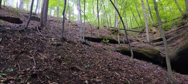 Eagle’s Landing Cabin at The Caves at Keystone property photo