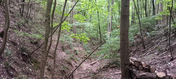 Eagle’s Landing Cabin at The Caves at Keystone property photo