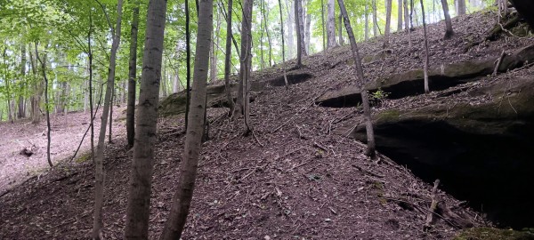 Eagle’s Landing Cabin at The Caves at Keystone property photo