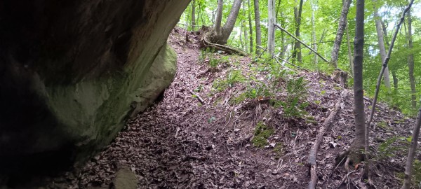 Eagle’s Landing Cabin at The Caves at Keystone property photo