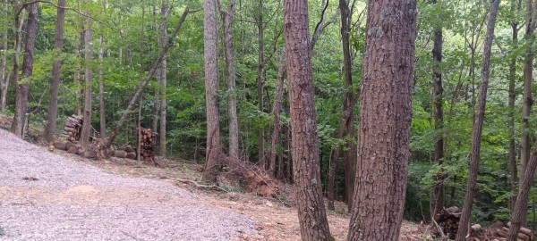 Eagle’s Landing Cabin at The Caves at Keystone property photo