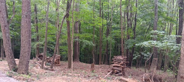 Eagle’s Landing Cabin at The Caves at Keystone property photo