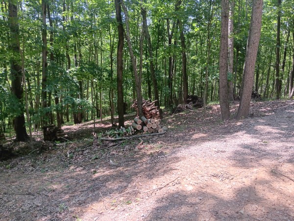 Eagle’s Landing Cabin at The Caves at Keystone property photo