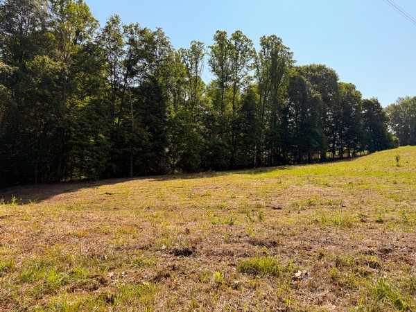 Tract 1 at Wolf Hill Estates property photo