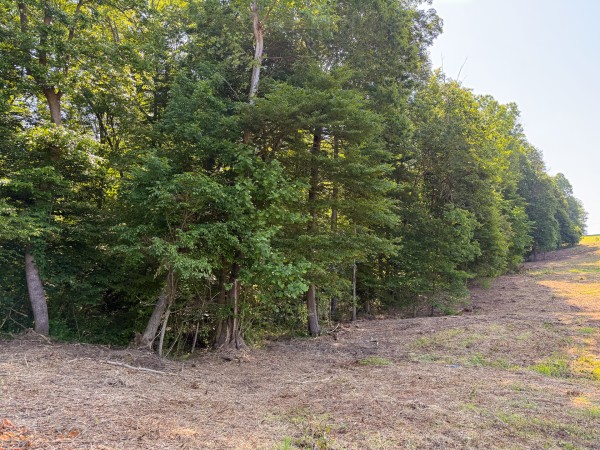 Tract 1 at Wolf Hill Estates property photo