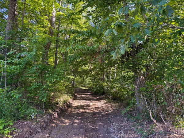 Tract 1 at Wolf Hill Estates property photo