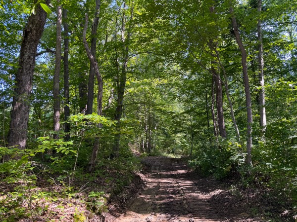 Tract 1 at Wolf Hill Estates property photo