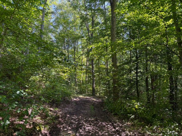 Tract 1 at Wolf Hill Estates property photo