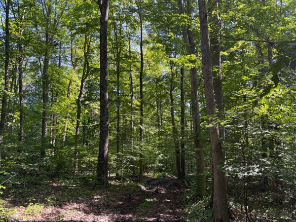 Tract 1 at Wolf Hill Estates property photo