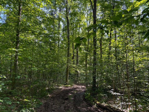 Tract 1 at Wolf Hill Estates property photo