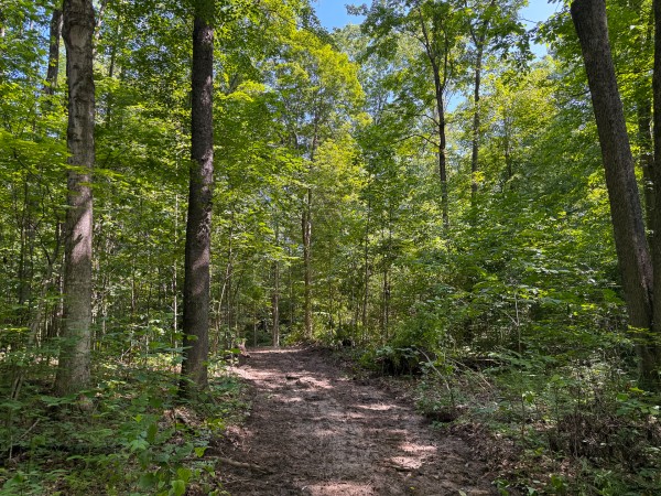 Tract 1 at Wolf Hill Estates property photo