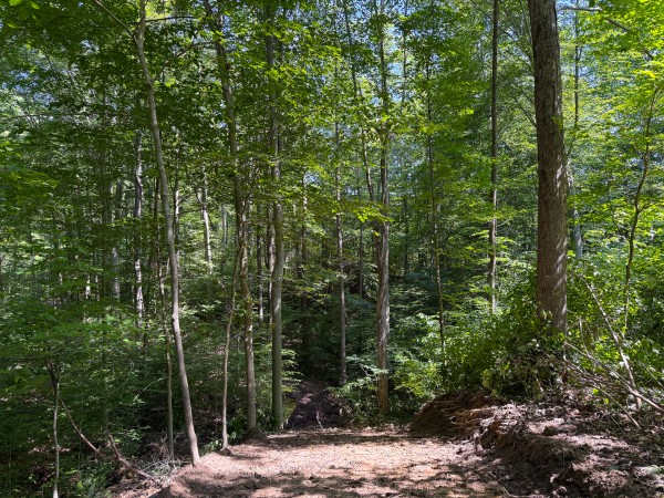 Tract 1 at Wolf Hill Estates property photo