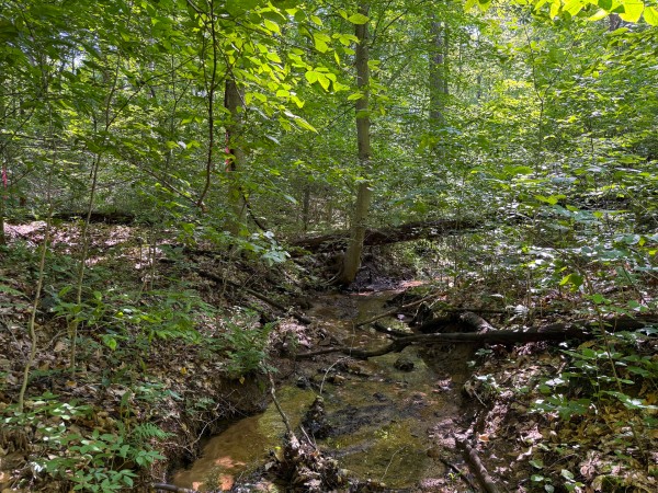 Tract 1 at Wolf Hill Estates property photo