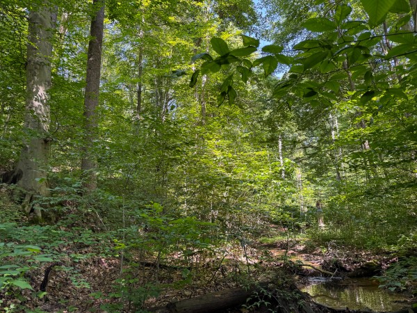 Tract 1 at Wolf Hill Estates property photo