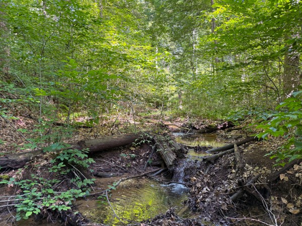 More of Tract 1 at Wolf Hill Estates