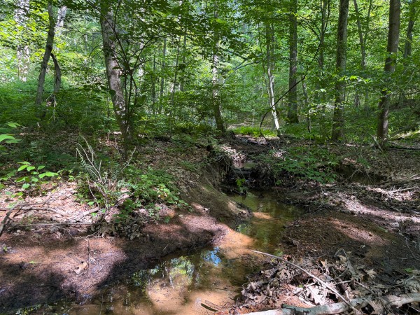 Tract 1 at Wolf Hill Estates property photo