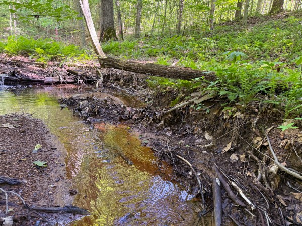 Tract 1 at Wolf Hill Estates property photo