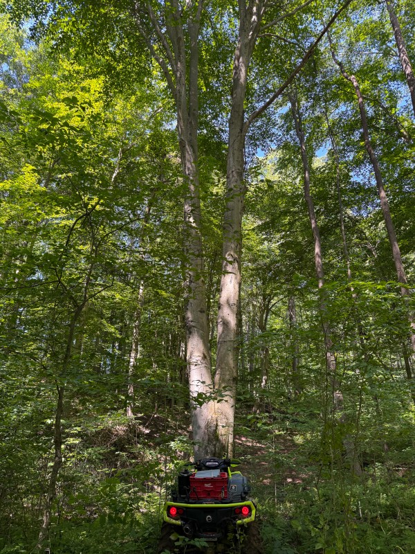 Tract 1 at Wolf Hill Estates property photo