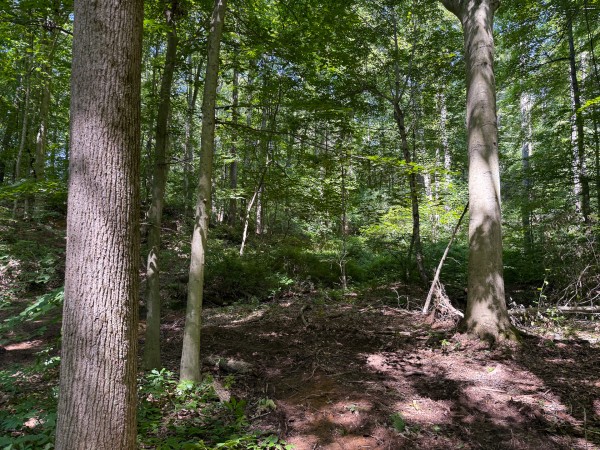 Tract 1 at Wolf Hill Estates property photo