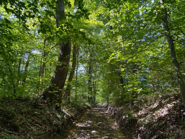Tract 1 at Wolf Hill Estates property photo