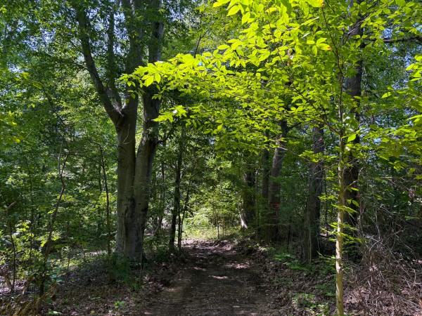 More of Tract 1 at Wolf Hill Estates