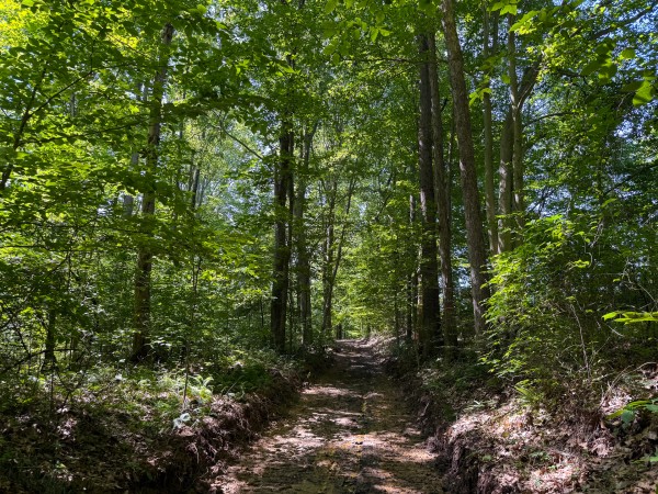 Tract 1 at Wolf Hill Estates property photo