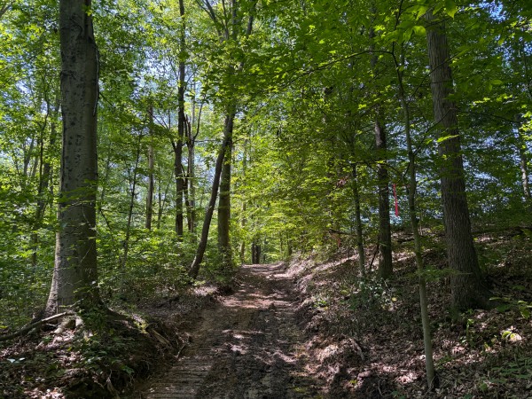 Tract 1 at Wolf Hill Estates property photo