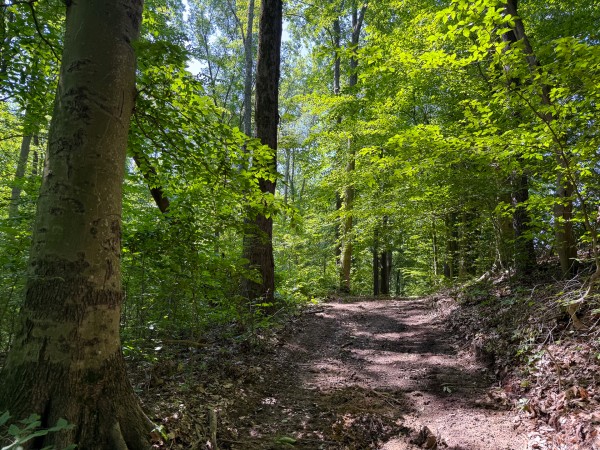 Tract 1 at Wolf Hill Estates property photo