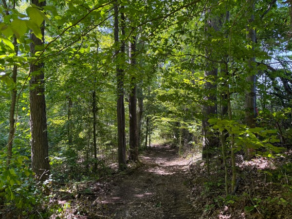 Tract 1 at Wolf Hill Estates property photo