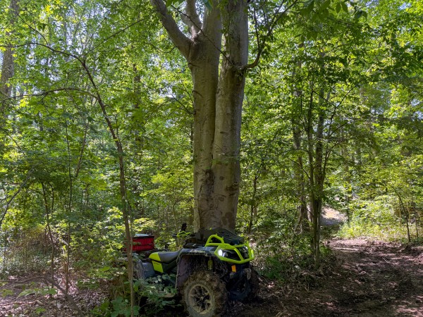 Tract 1 at Wolf Hill Estates property photo