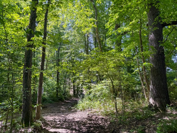 Tract 1 at Wolf Hill Estates property photo