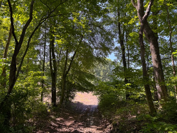Tract 1 at Wolf Hill Estates property photo