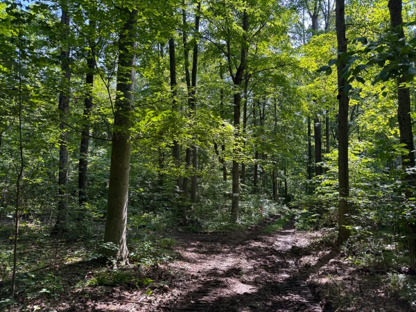 More of Tract 1 at Wolf Hill Estates
