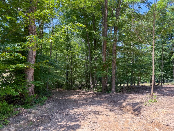Tract 1 at Wolf Hill Estates property photo