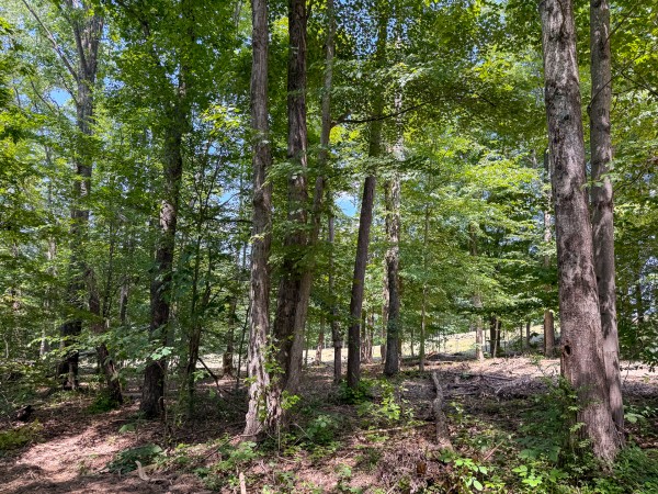 Tract 1 at Wolf Hill Estates property photo