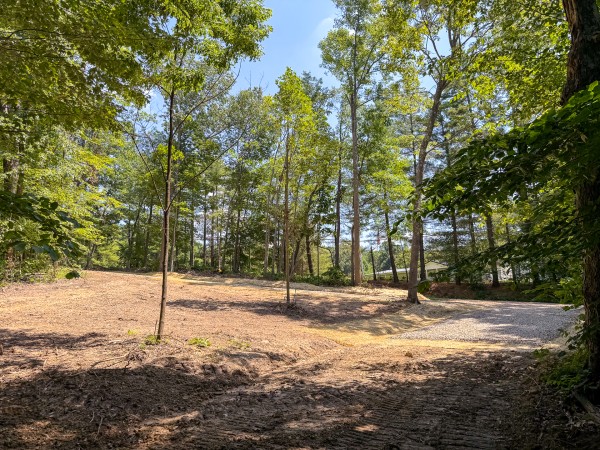Tract 1 at Wolf Hill Estates property photo