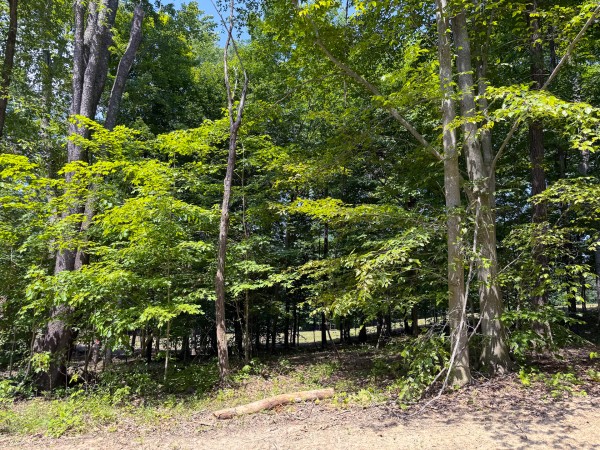 Tract 1 at Wolf Hill Estates property photo