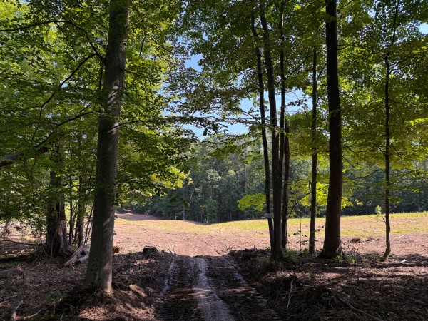 More of Tract 1 at Wolf Hill Estates