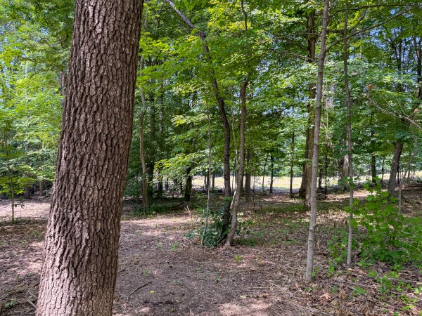 Tract 1 at Wolf Hill Estates property photo