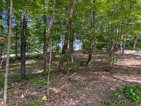 Tract 1 at Wolf Hill Estates property photo