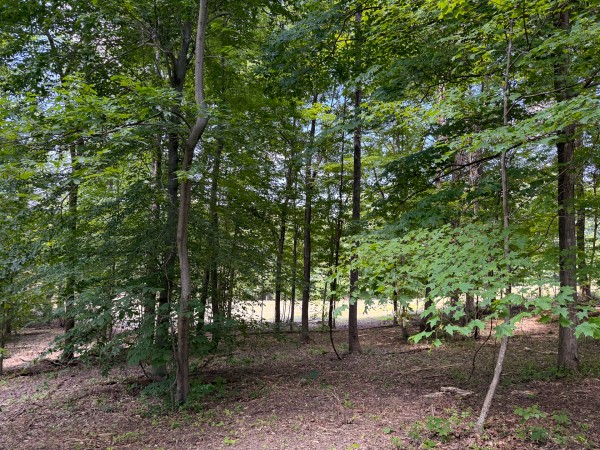 Tract 1 at Wolf Hill Estates property photo