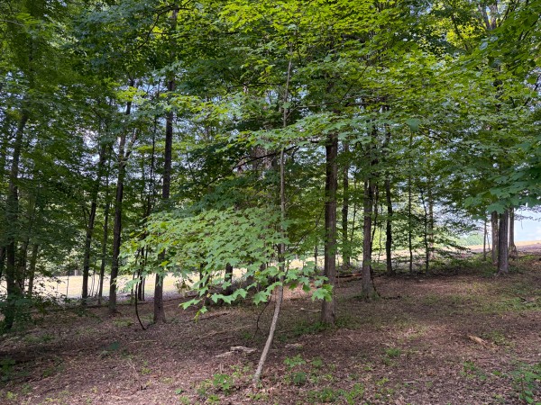 Tract 1 at Wolf Hill Estates property photo