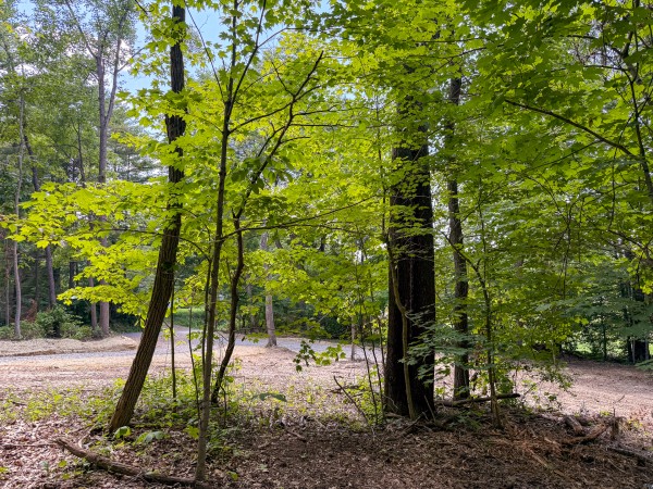 Tract 1 at Wolf Hill Estates property photo