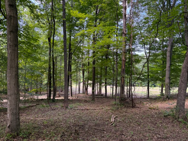 Tract 1 at Wolf Hill Estates property photo